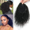ROSESSEA Extension de queue de cheval afro - américaine bouclée cheveux courts en queue de cheval afro - américaine (12 Inch, 1B#)