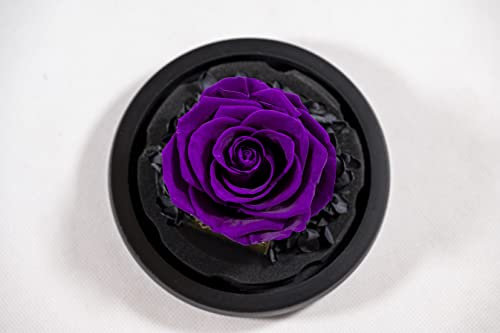 YourRoses® echte Premium Rose im Glas mit einer wunderschönen Geschenkbox | Lange Haltbarkeit & edles Geschenk als Liebesbeweis | ein Geschenk vom Herzen Nobel Lila
