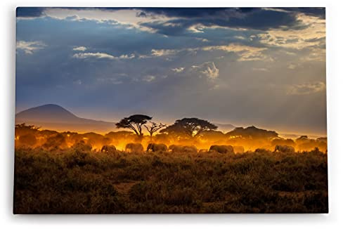 Paul Sinus Wandbild 60x40cm Dekorative Kunst Elefantenherde Elefanten Afrika Wildnis Sonnenuntergang