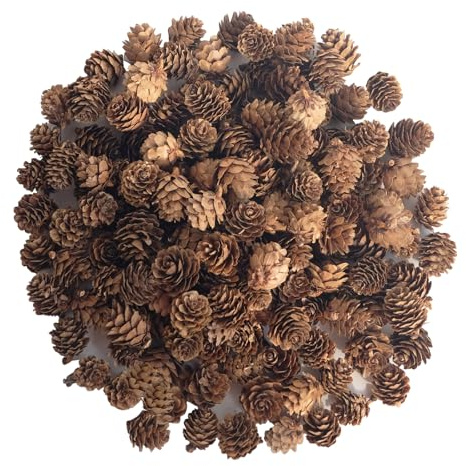 120 Stück Tannenzapfen für Weihnachten, natürliche Tannenzapfen, kleine Tannenzapfen für Zuhause, Party, Handwerk, Geschenk, Hochzeit, Weihnachtsbaumschmuck