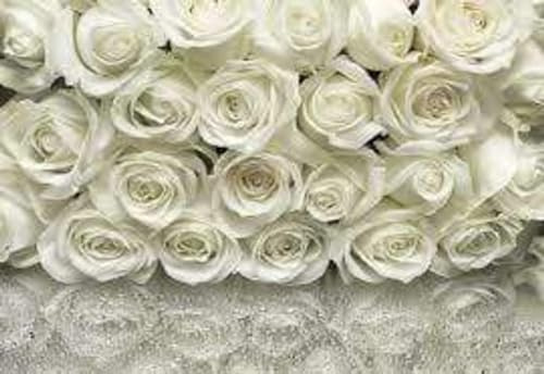 Papier Fototapete - A la Rose - Größe 368 x 254 cm - Blumen, Rosen, Schlafzimmer, Romantik