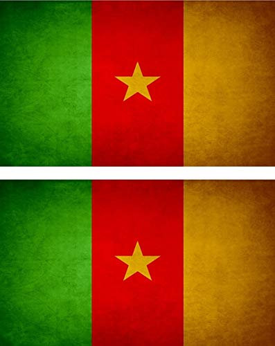 Akachafactory 2X Sticker Aufkleber Flaggen Flagge Fahne Vintage kamerun CMR
