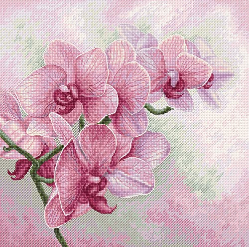 Luca-S Counted DIY Cross Stitch Kit for Adults, Graceful Orchids B7009, Embroidery & Needlecraft Kit