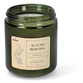 HOMLA Duftkerze Dekorative Raumdüfte Raumerfrischer Wachskerze Duft Kerze TOFU Grün Herbstmorgen Duft