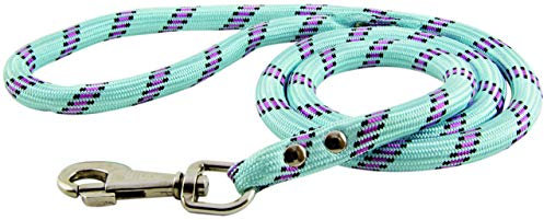 Zolux Laisse en Nylon Corde pour Chien Turquoise 1,20 m 13 mm