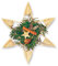 Zita`s Creative Bastelset - Weihnachtsstern. Flechten, Korbflechten, Schilf Set, Peddigrohr, Flechtmaterial, Flechtset, Rattan