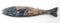 Fisch Garderobe Hakenbrett aus Holz 50 cm