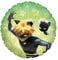Party Factory `Miraculous´ Folienballon, Ø45cm, grün, Cat Noir, Superhelden Heliumballon zum Geburtstag