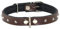 Corspet™ Echtes Leder Hundehalsband, Nieten Halsband Hund, Handgefertigt in der EU, weich gepolstert doppelseitig verstellbares Halsband | Hunde Halsbänder für kleine & mittelgroße [39-47 cm] Braun