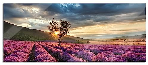 Pixxprint Glasbild Panorama, Wandbild aus Echtglas, Lavendel Provence mit Baum, 120x50 cm, inkl. Aufhängung und Abstandshalter