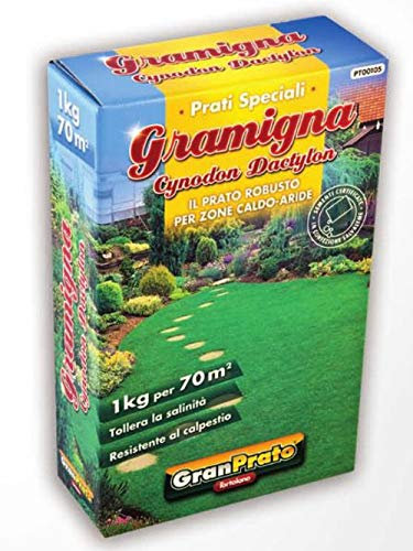 SEMI PRATO TAPPETO ERBOSO GRAMIGNA CYNODON DACTYLON TAPPETO ERBOSO KG. 1