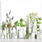 ARTland Wanddeko Glasbilder Wandbild Glas Bild einteilig 40x40 cm Quadratisch Pflanzen- & Blumenbilder Kräuterbilder Fotografie Grün Öle mit Kräutern H9KE