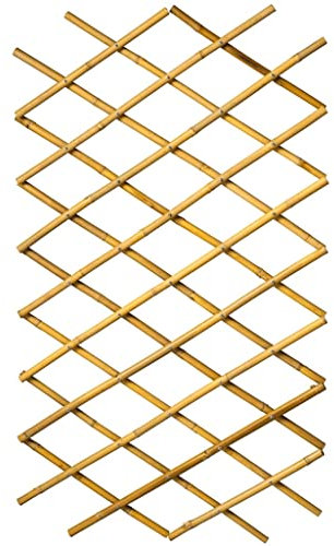 Holzspalier Rahmen Dekoration Outdoor Garten Pflanze Klettern Ausziehbar Zaun Holz Spalier Gartengitter Expandable Plant Climbing Lattice Trellis Zaun Unterstützung, 100x200 cm Bambus