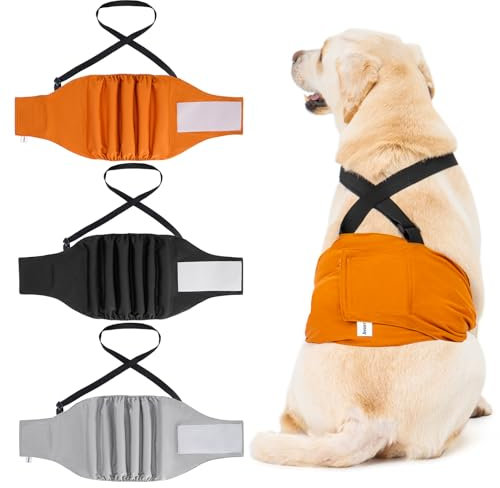 Avont 3 waschbare Windeln für Hunde, wiederverwendbar, für männliche Hunde, Schutz, Komfort Nappy in physiologischen Zeiten, bei Hitze, Inkontinenz - L (Träger)