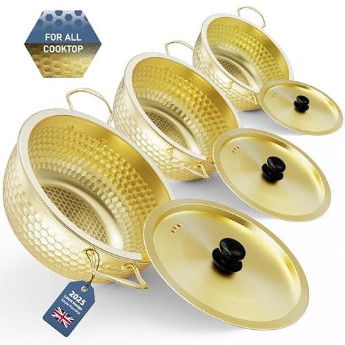Kiseely Deep Sauté Pan and Lid, Stainless Steel Saute Pan Set, Durable 8+9+10 PFOA Free Cookware, Dish Washer & Oven Safe, Compatible with All Cooktops (Gold Q1)