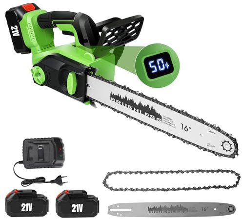 2200W Tronconneuse a Batterie,16 Pouces Tronçonneuse Électrique sans Fil avec 2x2000mAh Batteries,Avec Affichage Puissance LCD,avec Injecteur de Lubrifiant et 2 Chaîne de Remplacement, pour Jardin