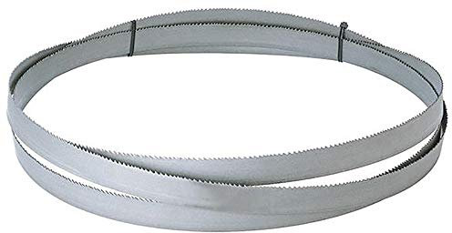 Format 7627600009 - Cinta de sierra de metal 1638x13x0.6 6-10z format