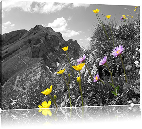 Traumhafte Blumenwiese im Frühling schwarz/weiß Format: 80x60 auf Leinwand, XXL riesige Bilder fertig gerahmt mit Keilrahmen, Kunstdruck auf Wandbild mit Rahmen, günstiger als Gemälde oder Ölbild, kein Poster oder Plakat
