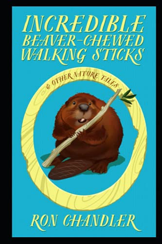 Incredible Beaver-Chewed Walking Sticks & Other Nature Tales