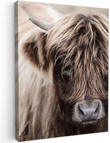 MuchoWow Leinwand Bilder, Einzigartige Wanddeko mit Rahmen, Schottischer Highlander - Tier - Hoorn, Wandbilder Wohnzimmer, Deko Schlafzimmer 60x80 cm