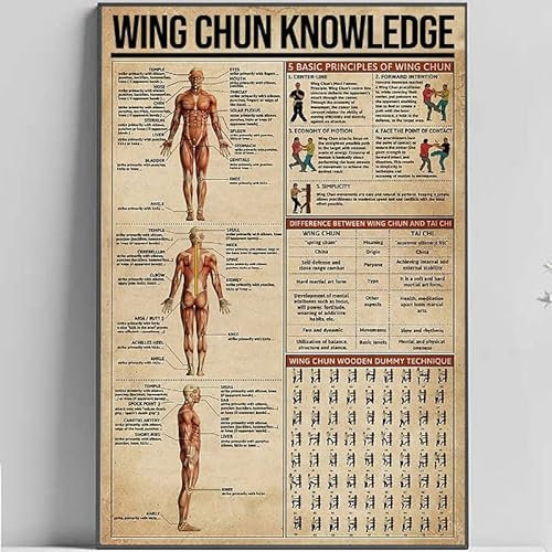 Wing Chun Knowledge,12 * 8 Inches Vintage Funny Poster Wall Decor Art Gift Retro Picture Metal Sign
