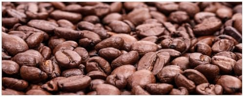 Wallario Küchenrückwand selbstklebend 115 x 50 cm, Motiv: Frisch geröstete Kaffeebohnen | Spritzschutz abwischbar & pflegeleicht