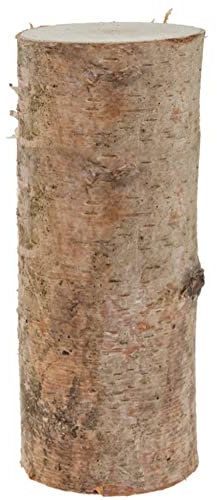 matches21 Birkenstämmchen Baumstamm gerader Schnitt - Holzstamm Naturmaterial DIY Bastelmaterial - je 1 STK. 12 x 30 cm