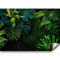 murando - Papier peint panoramique nature 300x210 cm - Revêtement mural décoration pour chambre salon - Design moderne - Vert bleu - Jungle feuilles nature nuit plantes tropical b-C-0224-a-a