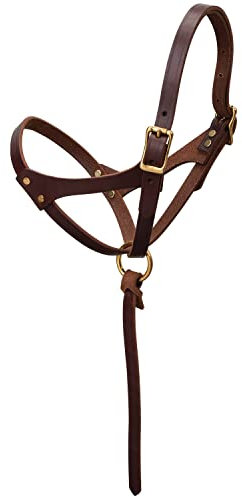 Weaver Leather Uni – Erwachsene Figure 8 FOAL/Suck HLTR, CR Lederhalfter, Geölte Canyon Rose, Suckling Horse