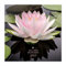Grupo Erik Kalender 2024 Wandkalender 2024 - Feng Shui Meditation Kalender 2024 Familienplaner 30 x 30 cm 12 Monate + Letzten 4 Monate 2023 auf einer Seite