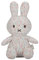 Little Dutch nijntje Miffy x NIJN367 Kuscheltier/Stofftier Hase Miffy - Lucky Blossom All Over (30 cm)