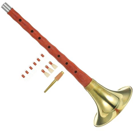HEMOTON 1 Satz Suona in D-tonart Blasinstrumente Herrscher Tenor Musikhorn Bands Bass Trompetenmundstück Klarinettenständer Tuner Harfe Ungewöhnlich Musical Einzigartig Fagott Metall