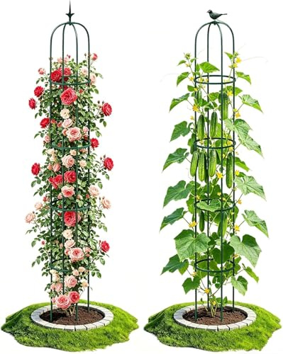 LATERN 1 Stück Garten Obelisk Spalier für Kletterpflanzen, 180CM Hoch Rostfrei Beschichtete Metall Pflanzenstütze Rankgitter Rahmen für Töpfe Pflanze Rose Tomate Gurke Blumen Traube Erbse (Grün)