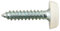 Connect 31546 Number Plate Screw White No 10 x 1 100pc