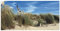 ARTland Wanddeko Wandtattoo selbstklebende Vinylfolie 60x30 cm Strand Meer Küste Düne Möwe Natur Maritim T2SV