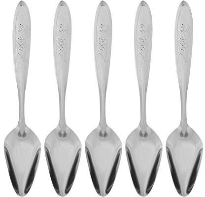 5pcs Cuchara de Acero Inoxidable en Polvo para Leche de Loro para Aves Mascotas Que Alimentan Cucharas