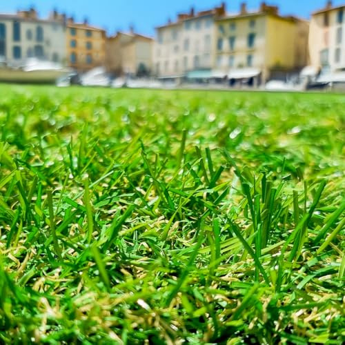 Gazon Synthétique 22mm en 2m de large (2m de large x 13m de long)