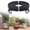 TANYEAR Pflanzenroller Rollendes Pflanzenblumentopfständer mit Räder Einstellbar Größe 39 bis 52cm Pflanzen Gestell, Blumentopf Rolluntersetzer, Schwarz