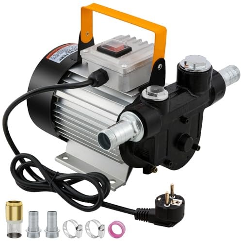 Pompa diesel 550W 20-60l/min Aspirazione elettrica pompa carburante, 230V Pompa carburante autoadescante