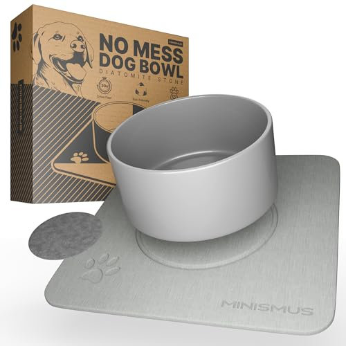 Minismus Gamelle pour Chien en Céramique avec Tapis Diatomée – Surélevée, Antidérapante & Absorbante, 15,5 cm Ø, 7,5 cm Haut, Gris