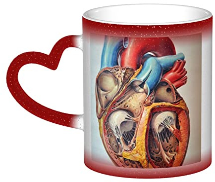 XTXGBT Human Anatomy Heart Pattern Color Changing Ceramic Coffee Mugs Ceramic Thermal Tea Cups Gifts for FA