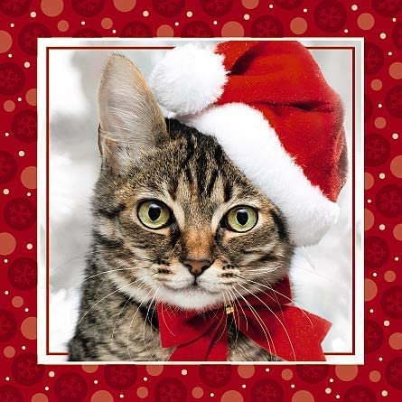 Cat Me To You 3D Hologramm Weihnachtskarte mit Katzenmotiv