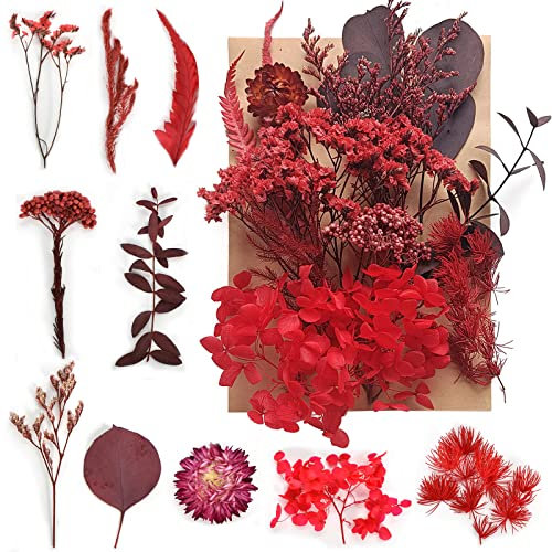 Disnace Natürliche Getrocknete Blumen, Blumen Natürliche Gemischte, DIY Natürliche Trockenblumen Set für Kunst Basteln DIY Epoxidharz Formen, Scrapbook Zubehör Karten Machen (Rot)