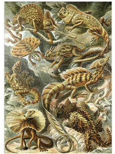 MyPuzzle Eidechsen (Lacertilia) - Kunstformen in der Natur, Vintage Art Poster, Ernst Haeckel - Premium 1000 Teile Puzzle - MyPuzzle Sonderkollektion von Havana Puzzle Company
