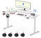 FLEXISPOT Scrivania Regolabile in Altezza Ripiani per Monitor,Scrivania Elettrica Gaming, Scrivania per Computer,Tavolo da Studio per Ufficio Domestico Tavola Giuntata (120 * 60cm)