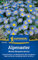 Kiepenkerl Alpenastersamen Blaues Bergsteinkraut 1014080 - Blumensamen für eine heimische Alpen- und Wildstaude mit Inhalt für 30 Pflanzen - Saatgut
