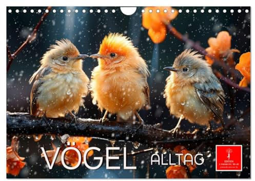 Vögel Alltag (Wandkalender 2026 DIN A4 quer), CALVENDO Monatskalender: Jeder Tag ein neues Abenteuer. (CALVENDO Tiere)