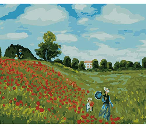 DIY Stoff-Dekorations-Kits, Abeuty Malen nach Zahlen XXXXXX 40,6 x 50,8 cm, Wandkunst (Mohnblumen, Holzrahmen)