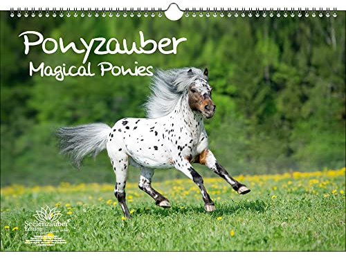 Ponyzauber DIN A3 Immerwährender Kalender Pony und Fohlen - Seelenzauber