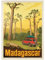 MyPuzzle Madagaskar: Der achte Kontinent, Vintage Poster - Premium 1000 Teile Puzzle - MyPuzzle Sonderkollektion von Anderson Design Group